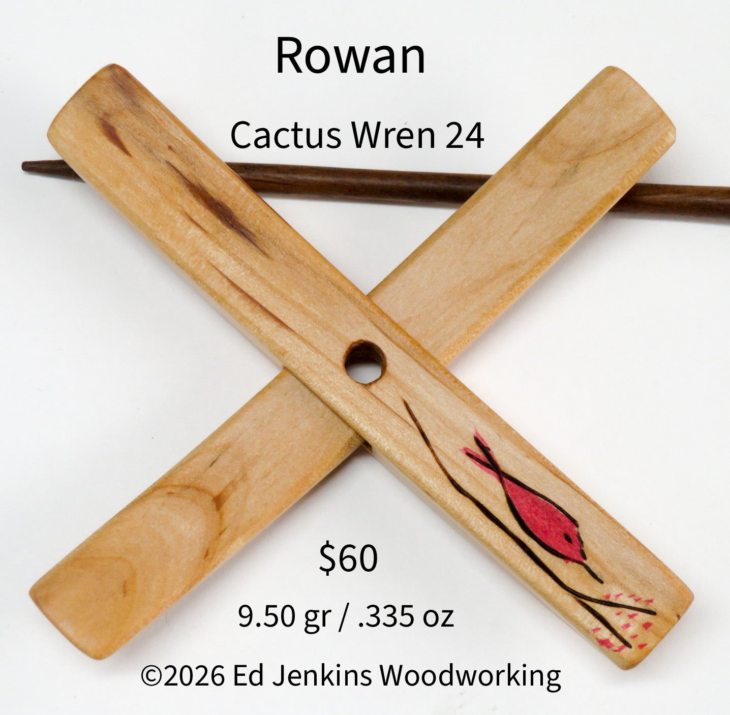 Cactus Wren, Rowan
