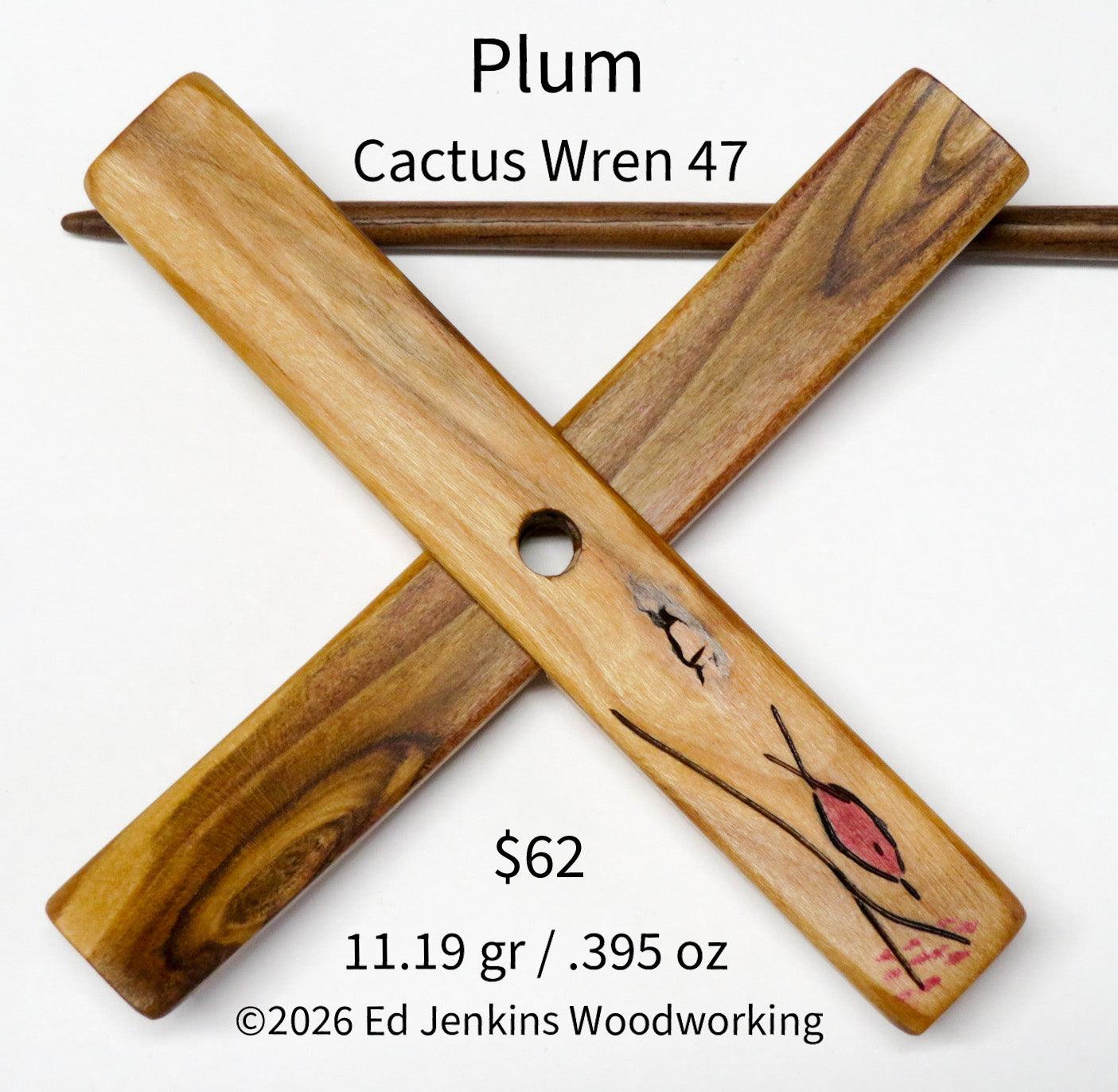 Cactus Wren, Plum 47