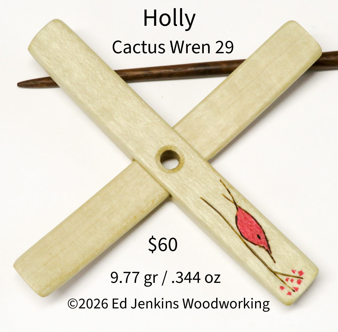Cactus Wren, Holly
