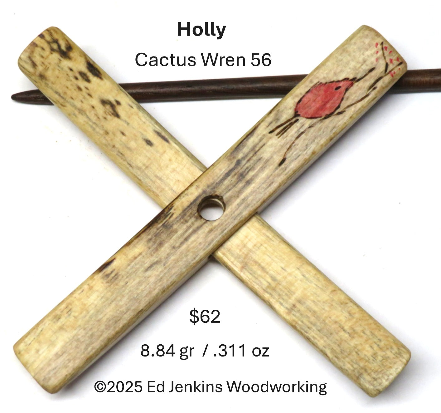 Cactus Wren, Holly 56