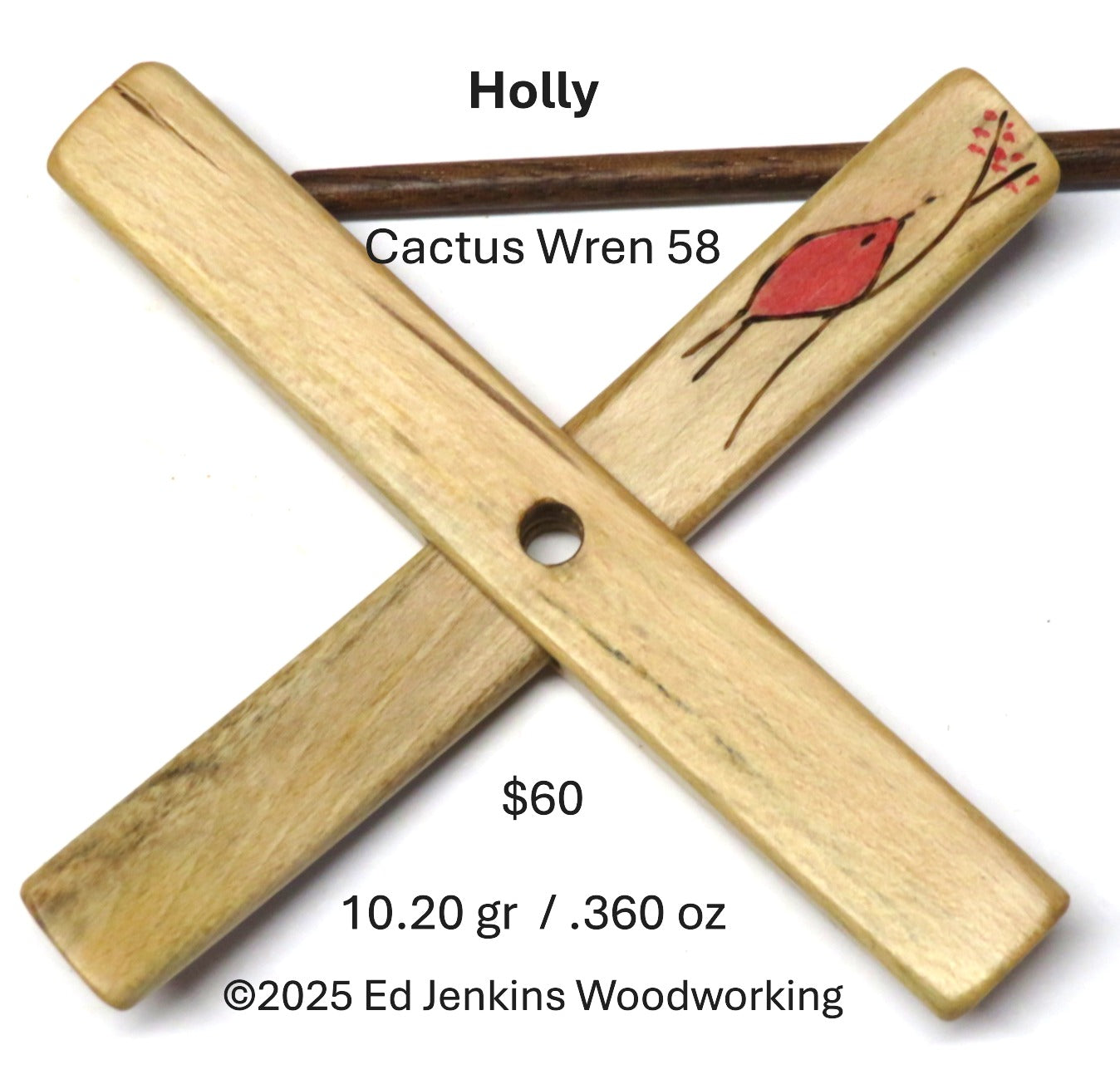 Cactus Wren, Holly 58