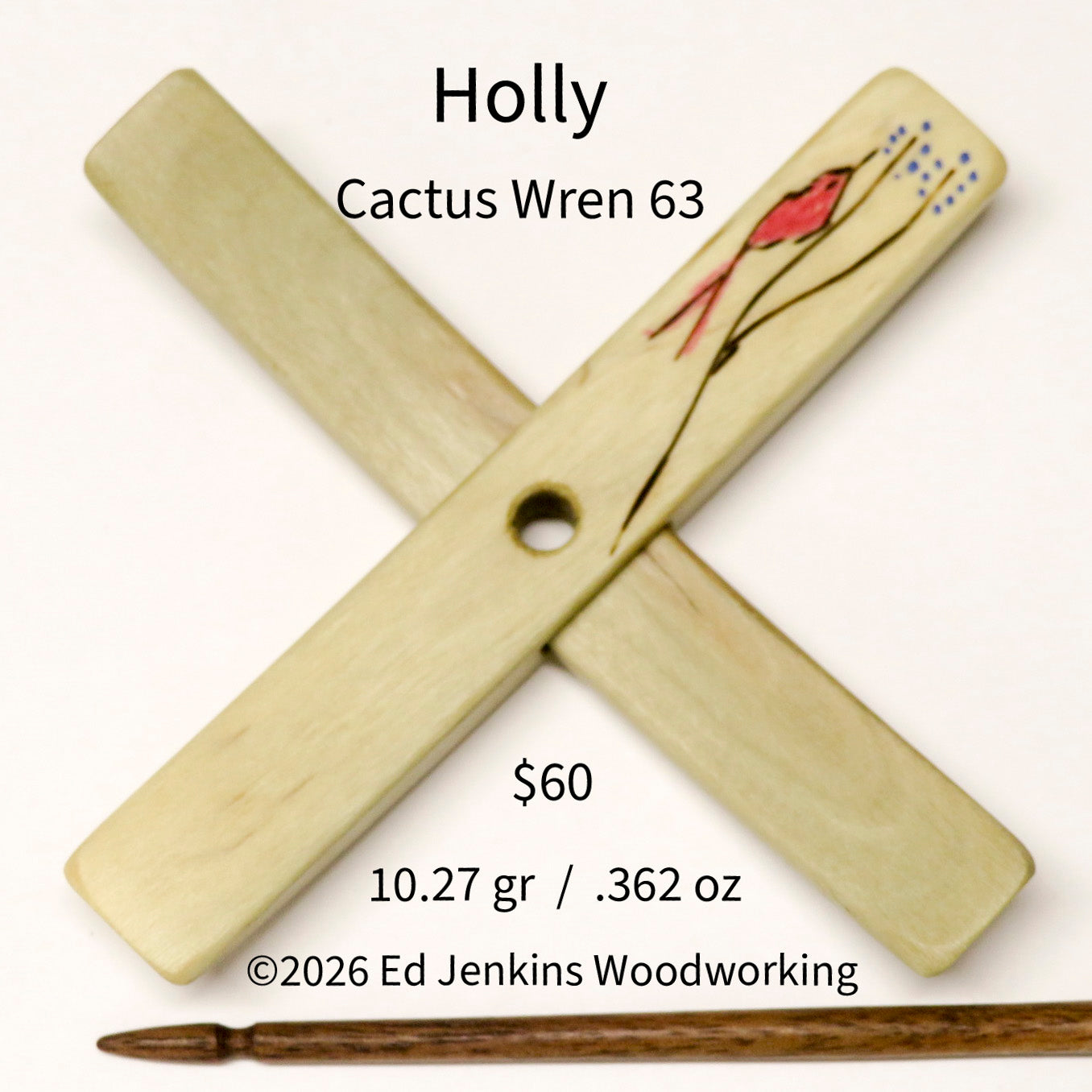 Cactus Wren, Holly