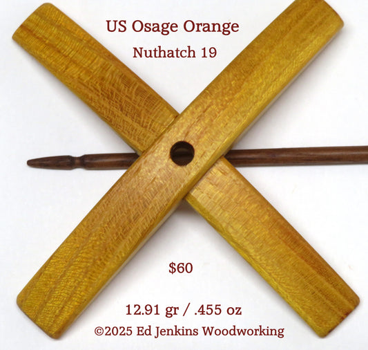 Nuthatch, Osage Orange
